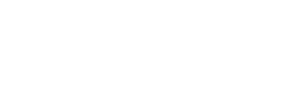 Logitech logo big